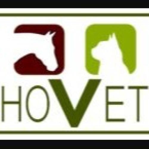 HOVET - HOSPITAL VETERINÁRIO JERÔNIMODIX HUIT ROSADO MAIA 